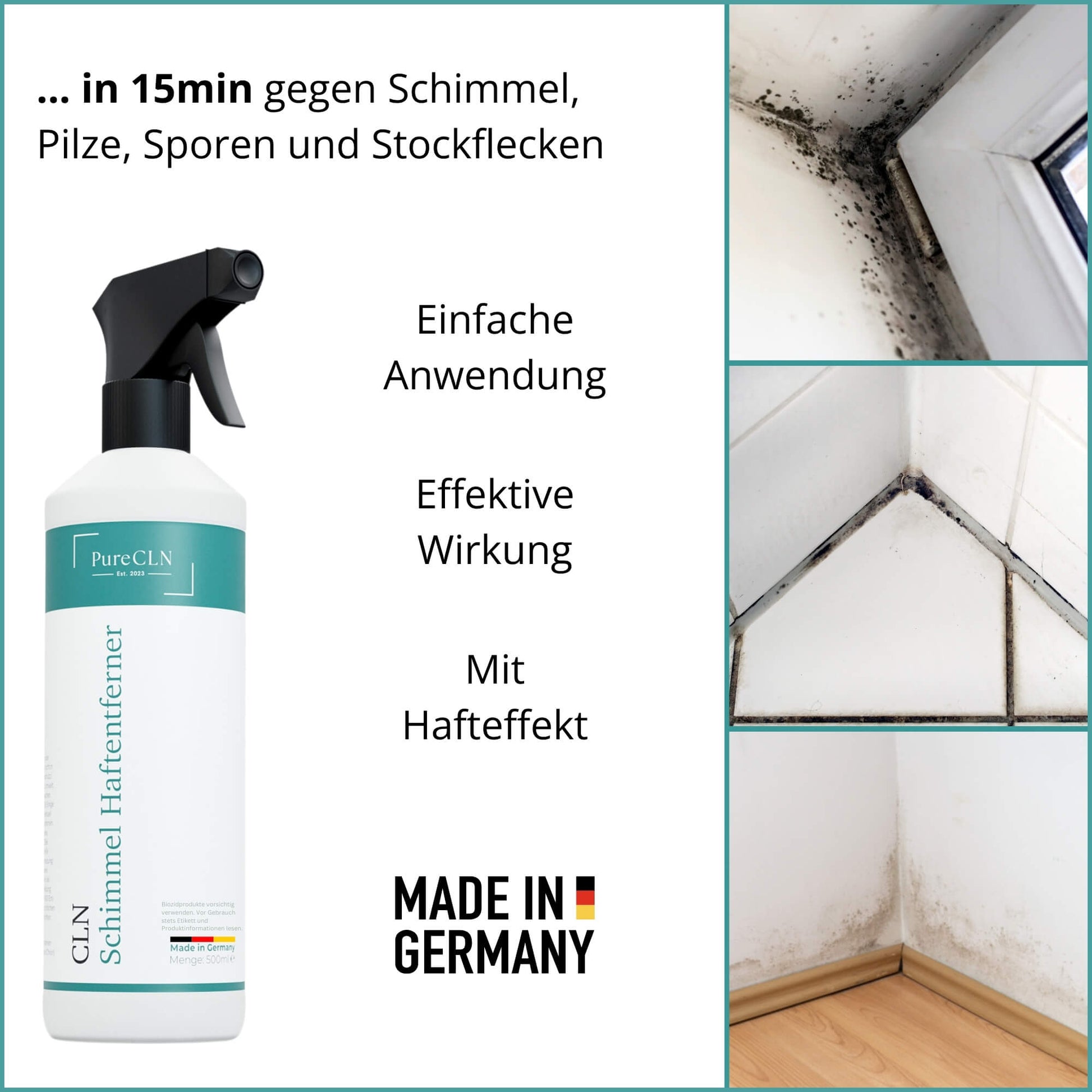 Schimmel an Kellerwand entfernen mit PureCLN Schimmelentferner
