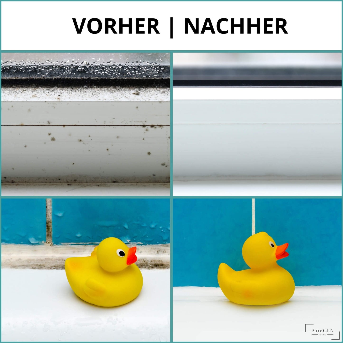 PureCLN Schimmelentferner auf Silikonfugen im Einsatz
